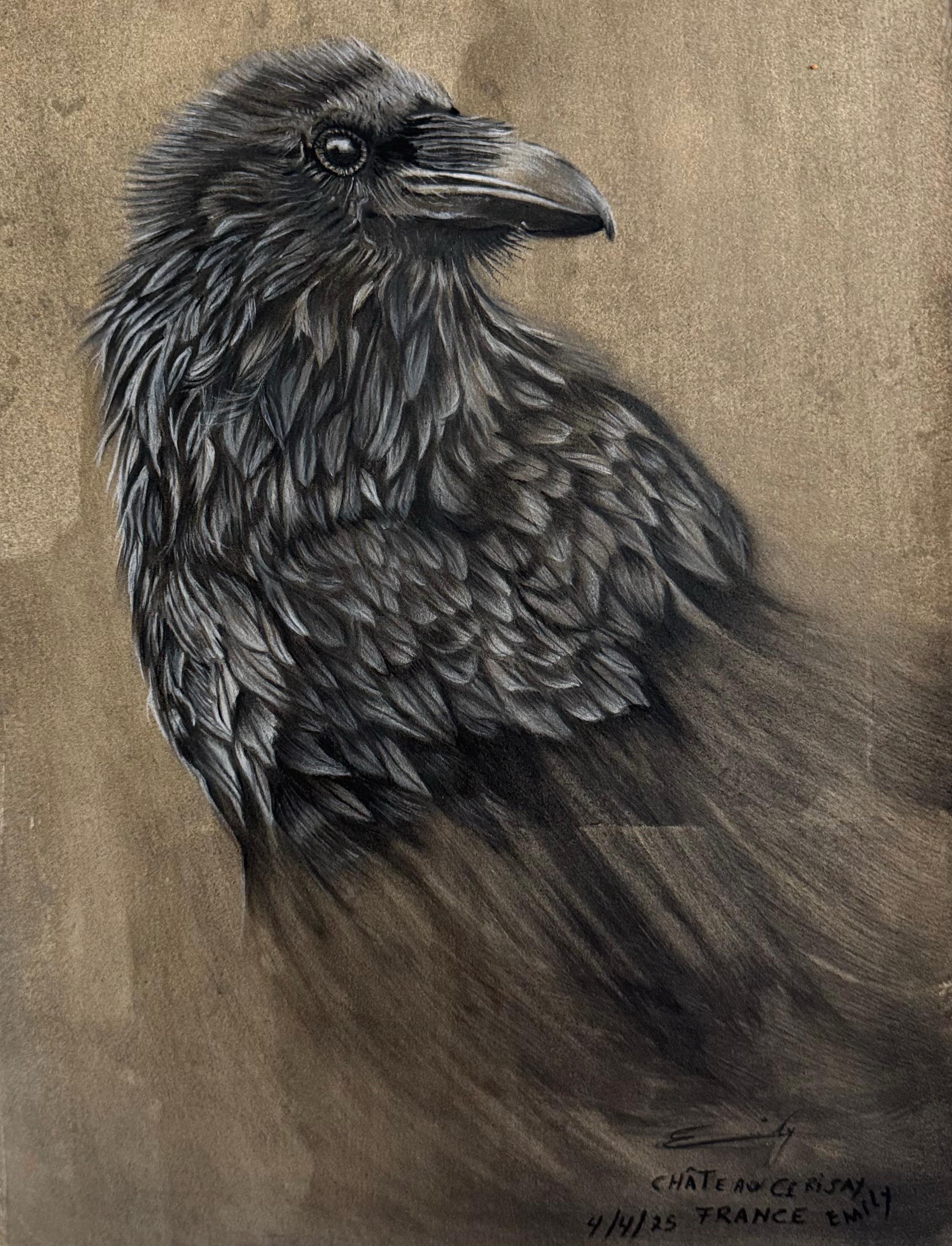 Detailed Raven